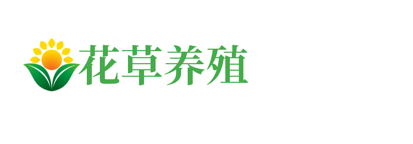 柔远科技独立站A058-花卉养殖新闻资讯类网站